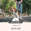 청학동물병원 이미지