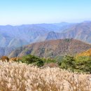 민둥산운동장 1 이미지