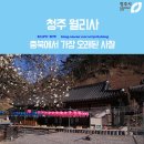 월리사 이구당부도 | 청주 월리사 - 충북에서 가장 오래된 사찰