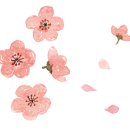 물태리 다목적회관 이미지