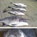 한산한 오늘 이미지