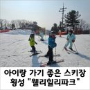현대파크장 | &#34;웰리힐리파크&#34;, 초급코스 가족스키 즐기기에 제격이예요!