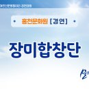 실버스타-K  in 강원 이미지