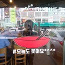복덕이고추짬뽕
