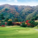 천룡컨트리클럽 이미지