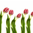 한국폴리텍 II 대학 남인천캠퍼스 이미지