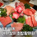 [충북/영동] 참치 맛집 - &lt;대가참치초밥활어회&gt;