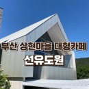 선유도원 | 부산 상현마을 대형카페 건축상받고 산책하기 좋은 카페 내돈내산 후기 선유도원