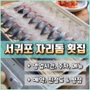 복음횟집 | 제주도 서귀포 고등어회 현지인 맛집 자리돔횟집 모듬회(고등어회+광어) 식사 후기 * feat. 영업시간...