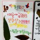 다우림명문유치원 이미지