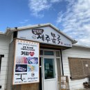 제주도 3박 4일 총정리 [일정 / 맛집 / 카페 / 핫플레이스] !(•̀ᴗ•́)و ̑̑