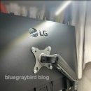 631 | LG 32인치 QHD 모니터 32U631A 네이버강세일 내돈내산 6개월 사용후기 (Dell FHD 모니터)