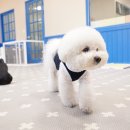 무무유치원 이미지