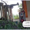 개화 이미지
