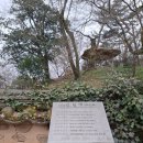 남도정비 | 남도여행(1) 강진 무위사, 백운동원림과 월출산다원