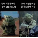 9월 일상 : 집 고양이를 만나본 적 있나요?