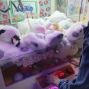 [일상] 기분 최고
