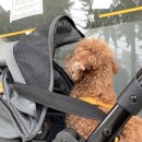 응암지점 국민은행 이미지