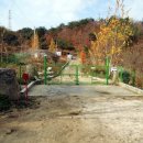 큰돌농장 이미지