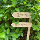 정원친구 이미지