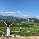 평창 대관령 삼양목장 삼양라운드힐 목장마트 강원도 여행지 추천