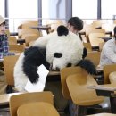 팬더 - 강남구 강남대로156길 13-4 | 팬더