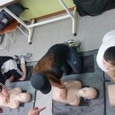 포천간호학원 이미지