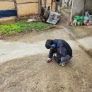 여주-0077 이미지