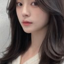 더민 이미지