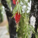 죽림농장 이미지