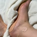 약손온누리약국 | 온누리약국 입점템, [사임당 발패치] 발바닥통증+종아리붓기에 진짜 효과 있을까?