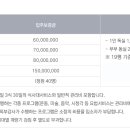 에코뷰실버타운