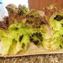 삼교리동치미막국수교동점 이미지