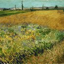 Vincent Van Gogh (빈센트 반 고흐, 1853-1890) / In Our Tears 이미지