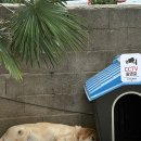 오늘도 화창 | 감성적인 거제도 가성비 숙소 &lt;오늘도 화창&gt; 프리미엄 오션뷰 객실 내돈내산 후기