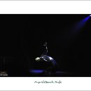 사랑하면 춤을 춰라 이미지