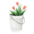 수채일러스트 캘리그라피(오전) 이미지