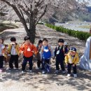 영양초교병설유치원 이미지