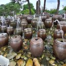 645차-7/25.土.10:30.양수리역1번–낙지마당-세미원-세한정-배다리-두물머리-전통시장-양수리역 이미지