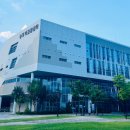 능소화꿈나무 이미지