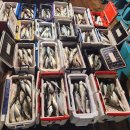 여름김치, 손맛을 담다 (8월) | 한여름 밤의 고등어 파티🐟 군산 야간 선상 낚시 (이십오년공팔월)