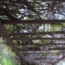 김해중학교 이미지