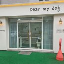 디어마이독 이미지