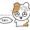 더 큐브(The Cube) | [군자술집] 혼술하기 좋은 바 더큐브 The Cube