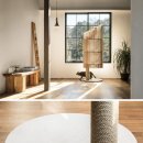 MODERN CAT 이미지