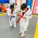 용인대삼성태권도장 이미지