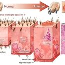 좋은 친구들 동물병원 이미지