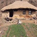 그곳에가고싶다 이미지