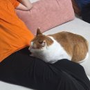 12월 생활문화데이 | 12월부터 달라집니다!