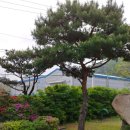 (주)우인 이미지